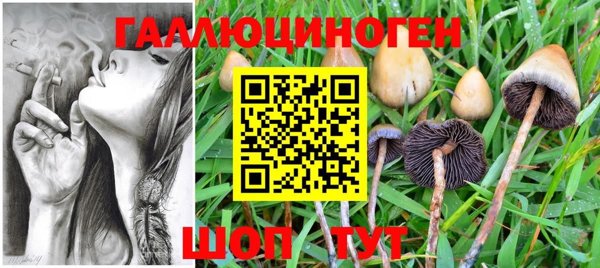 Железноводск  Псилоцибиновые грибы GOLDEN TEACHER  как найти наркотики  Вход с VPN 